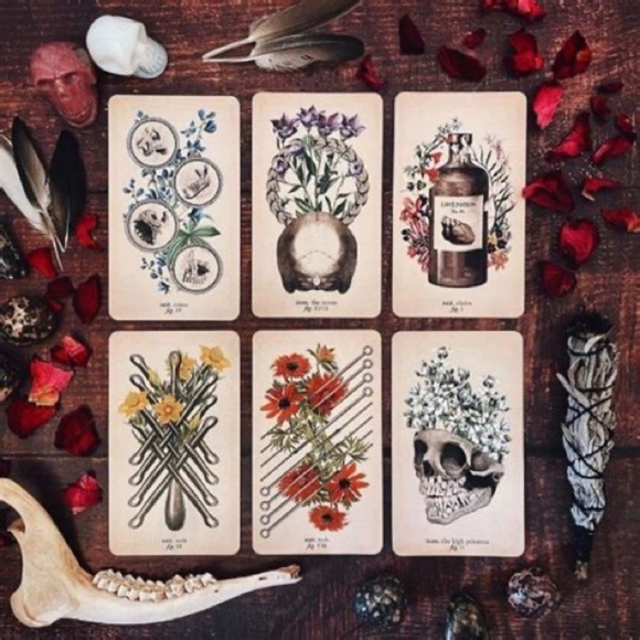 NEW The Antique Anatomy Tarot Cards Deck Divination Witchcraft - Picture 4 of 6
